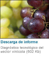 Diagnóstico tecnológico del sector del vino (marzo 2007) 