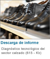 Diagnóstico tecnológico del sector calzado (marzo 2007) 