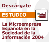 La micropyme española en la Sociedad de la Información (noviembre 2004) 